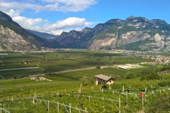 italien2015_0028