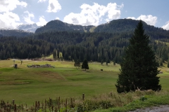Pinzolo