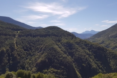 Valda