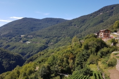 Valda