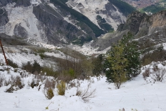 Carrara