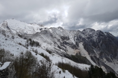 Carrara