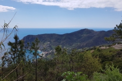 Levanto