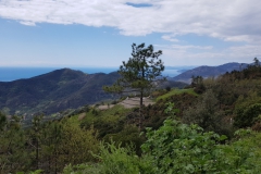 Levanto