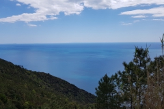 Levanto