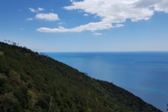 Levanto
