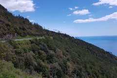 Levanto